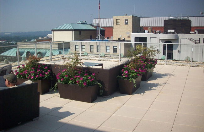 Bluebird Suites DC Financial District - Photo 31