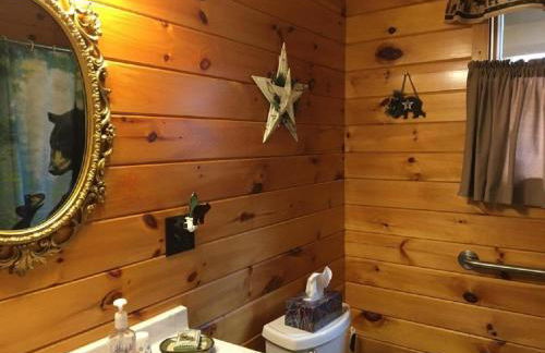 Secluded Cabin Nestled in the Mountains near the Tioga State Forest, Pennsylvania - Foto 44