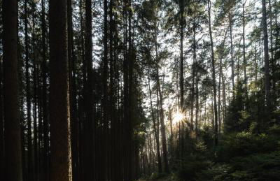 Ferienhäuser zur Schäferei - Foto 14