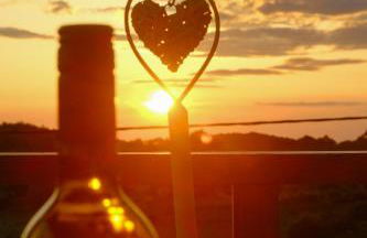 Fterini Apartments Sterna & Alletri - Foto 52