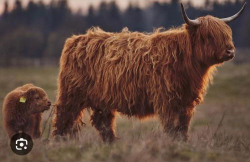 Skye Blue Bothy - Foto 10