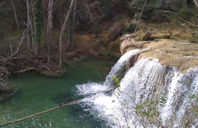 Mas de Leon - Photo 46