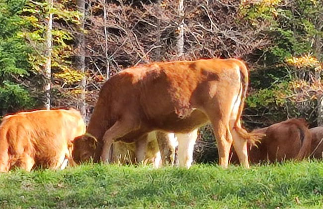 Superdevoluy545S - Photo 55