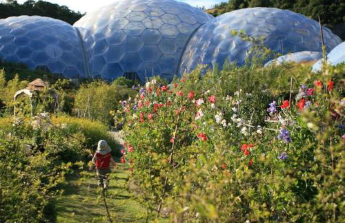 1 Bed in Par- oc-42007 - Photo 12