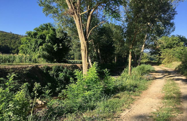 Rustic Comfort With Modern Touch - Foto 37