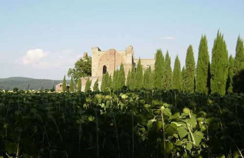 La Fattoria Montalcinello - Foto 42