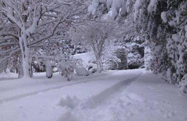 Crotlieve Barn - Photo 38