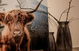 FEWO Silberberg - Foto 11