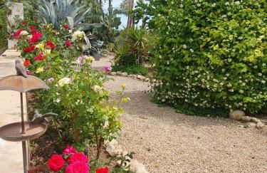 Casa del Riu - Foto 50