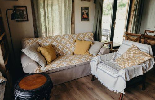 Mech i brzoza - Foto 34