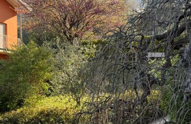 Casa Emilia lake view apartment - Foto 25