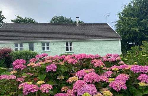 Canllefaes Cottages - Foto 69