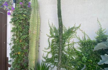 La Paratá Suites Mojácar - Foto 44