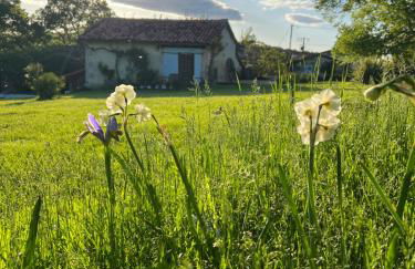 La Colline de Tilleul - De La Colline 4 STAR RATED - Beautiful Cottage Near Aubeterre - Foto 63