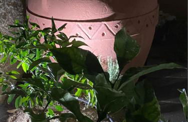 Casa Marylu con giardino - Foto 24