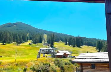 CASA-Bois de Pisan au pied des pistes - Foto 23