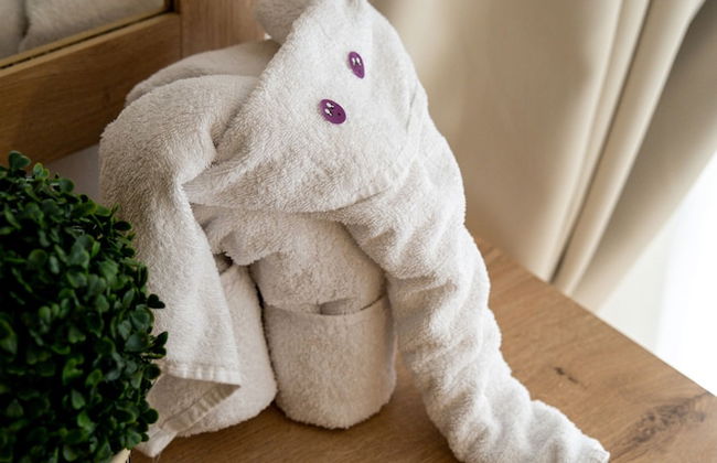 Apartment in Nikiforos Fokas with swimming pool and garden - Photo 5