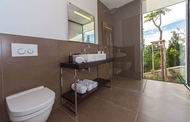 Golden Ray - Foto 11