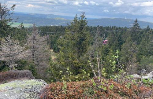 Ferienhaus Frankenwald 80qm unweit vom See in Lichtenberg - Sauna, Klima, Kamin, Garten - Bad Steben - Hof Saale - Foto 33