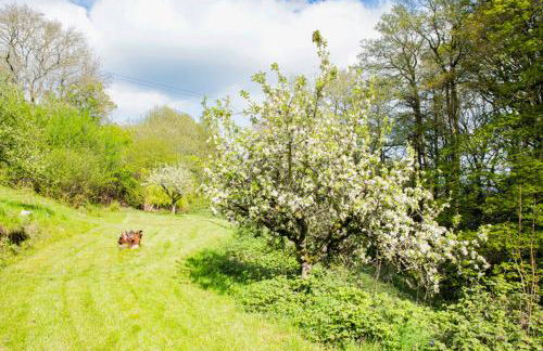 Little Hollows Glamping - Foto 51