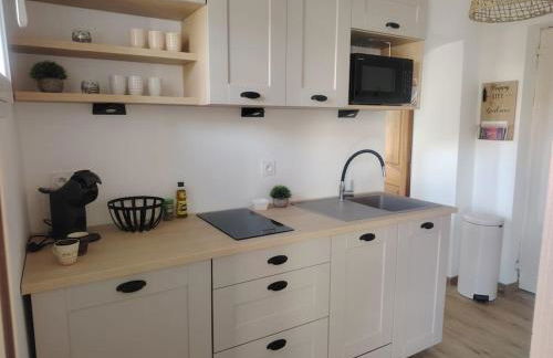 Domaine des Petites Sœurs à 800m du centre historique avec 5200m2 de parc arboré - Foto 7