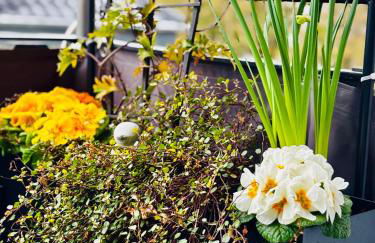 Landhausglück - Freizeitpark, Natur und Fahrradspaß direkt vor der Tür - Foto 34