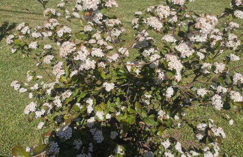 Apartment Milka - Foto 44