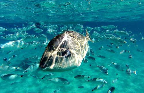 Villetta Cinzia Vista Mare - Foto 22
