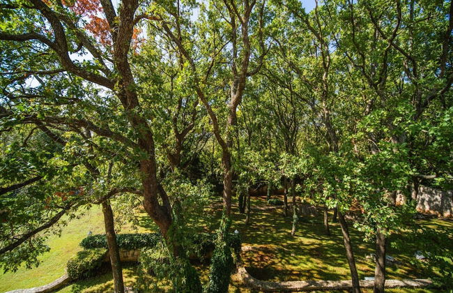 Exclusive Villa with Private Pool & Huge Fenced Property near Dubrovnik - Foto 38