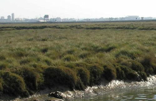 Traditional Apartment in Ribeira Sacra with Garden - Foto 12