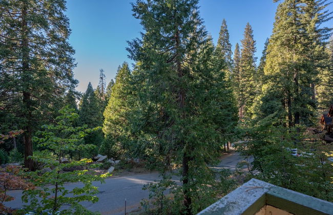 Brookside Cottage Within Yosemite's Splendor - Foto 24