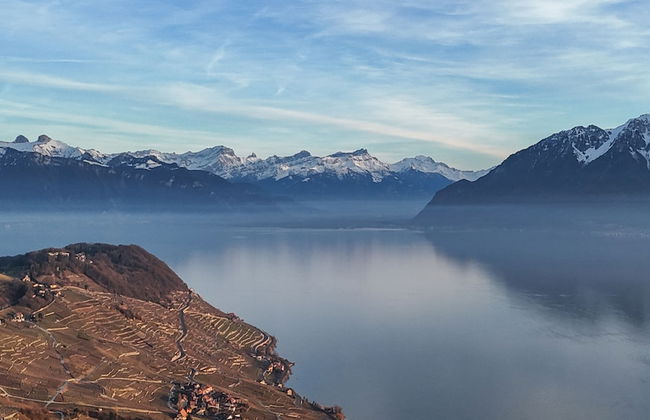 domaine du deven - Foto 49