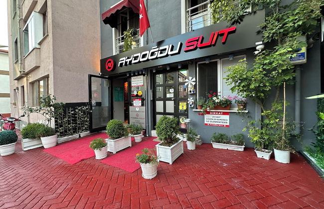 Aydogdu Suit - Photo 12