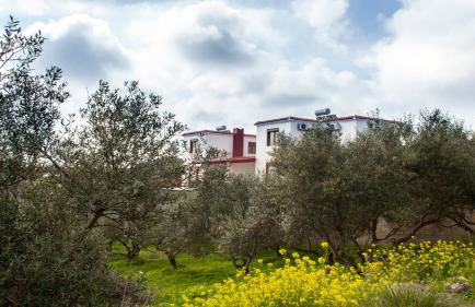 Fοivos and Athina Villas - Foto 26