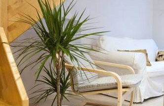 Seagull Luxury Maisonette - Photo 22