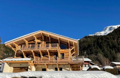 Chalet les 3 cerfs - Photo 11