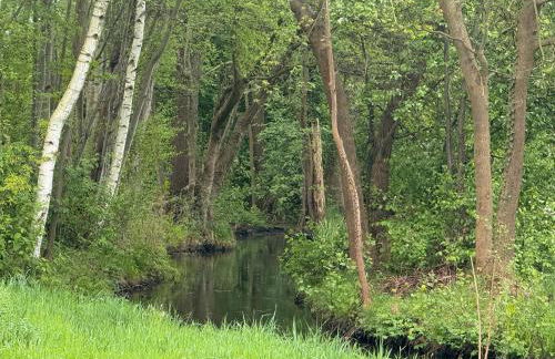 Ferienwohnung an der Postsäule Lübbenau - Foto 18