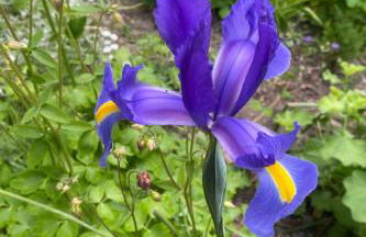 Apartment Altes Pastorenhus by Interhome - Foto 24