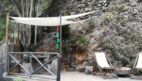 Casa Rural Finca la Maleza - Foto 3, Garden