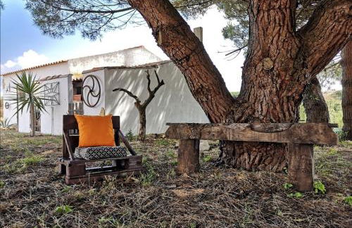 Casa do Lagar - Foto 35