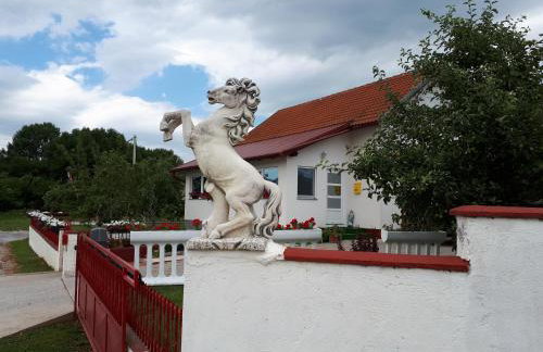 Vila NINA - Photo 20