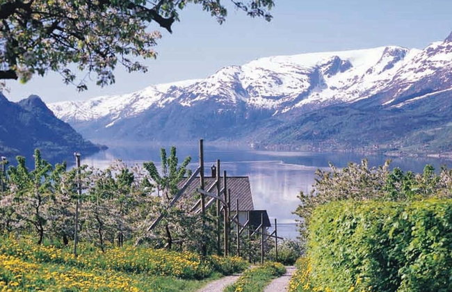 Excursión al fiordo de Hardanger + Teleférico Voss Gondol - Foto 5