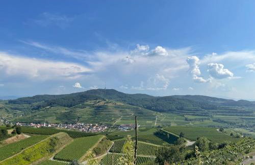 Weingut & Straußwirtschaft Vogel - Foto 20