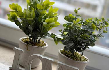 Apartmenthaus Südstadt - Foto 6