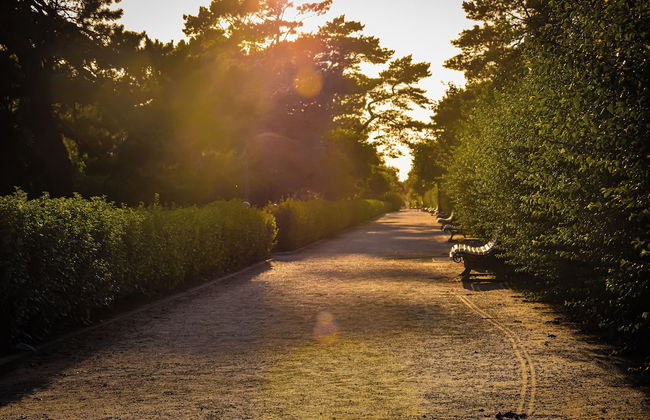 Appartementhaus Haus Strandperle - Foto 20