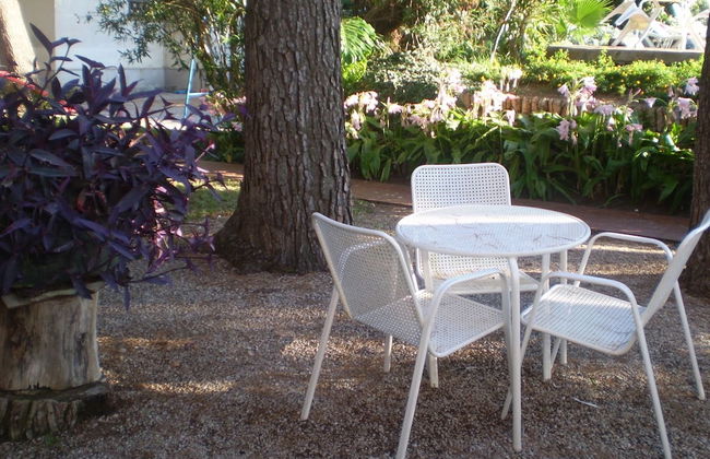 Apartamentos El Oasis - Foto 34