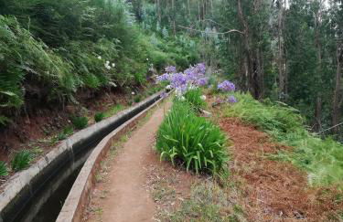 Casa Bela Vista - Photo 28