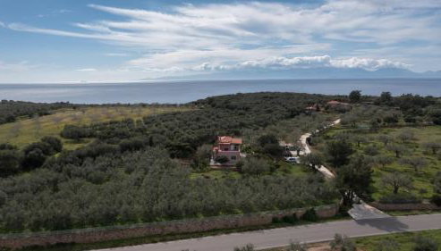 Eleni's House - Foto 4, Garden