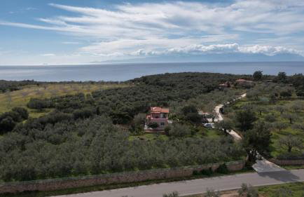 Eleni's House - Photo 4