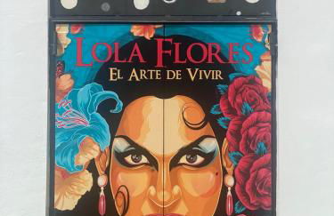 La Terraza de Porvenir 10 - Jerez de la Frontera - Foto 48